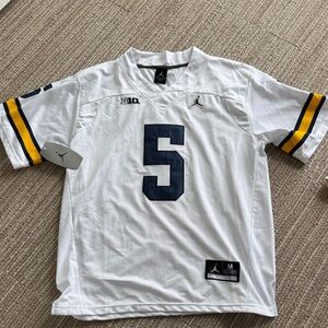 Jordan Michigan Jersey
